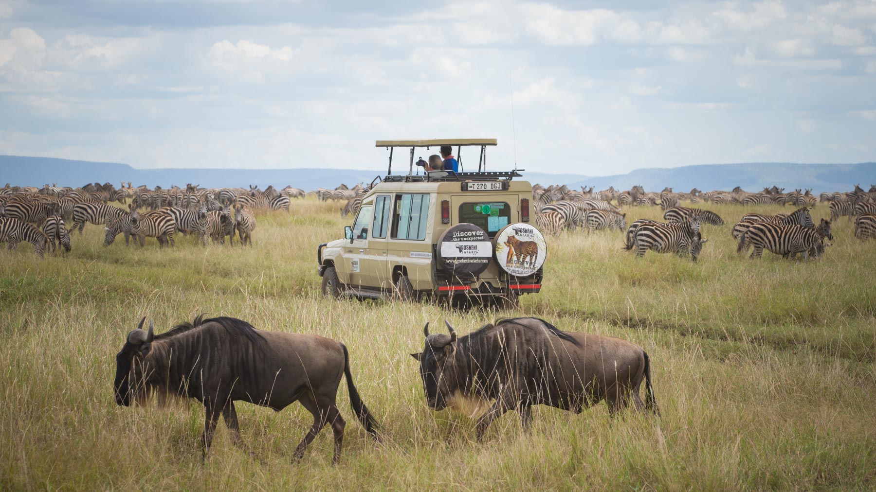 kenya and tanzania safari